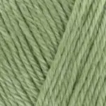 Ljósgrænt -Cool Aloe 1102